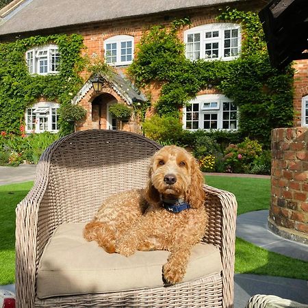 Little Woodside A Beautiful New Forest Self Contained Private Luxury Annexe نيو ميلتون المظهر الخارجي الصورة