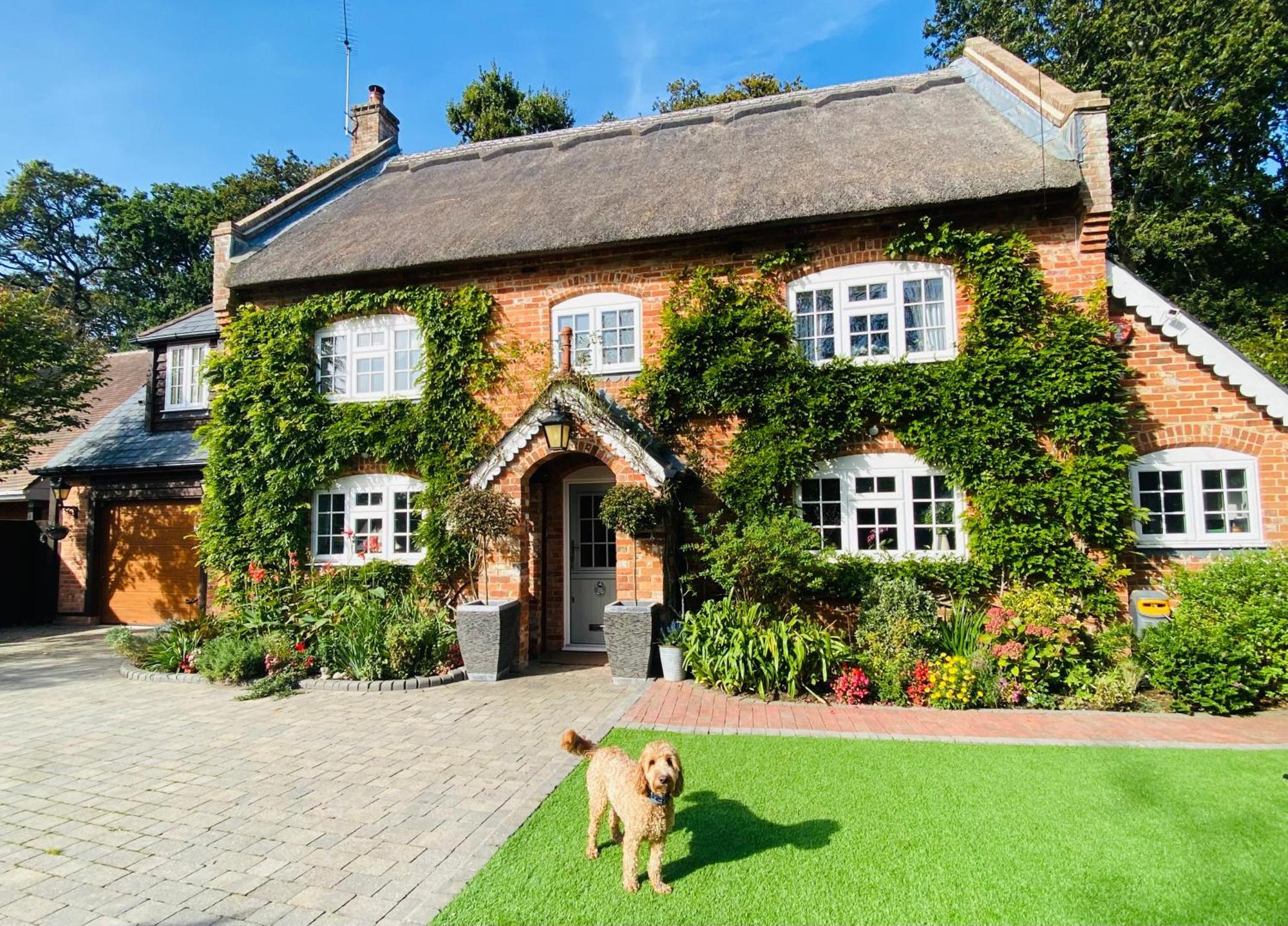 Little Woodside A Beautiful New Forest Self Contained Private Luxury Annexe نيو ميلتون المظهر الخارجي الصورة