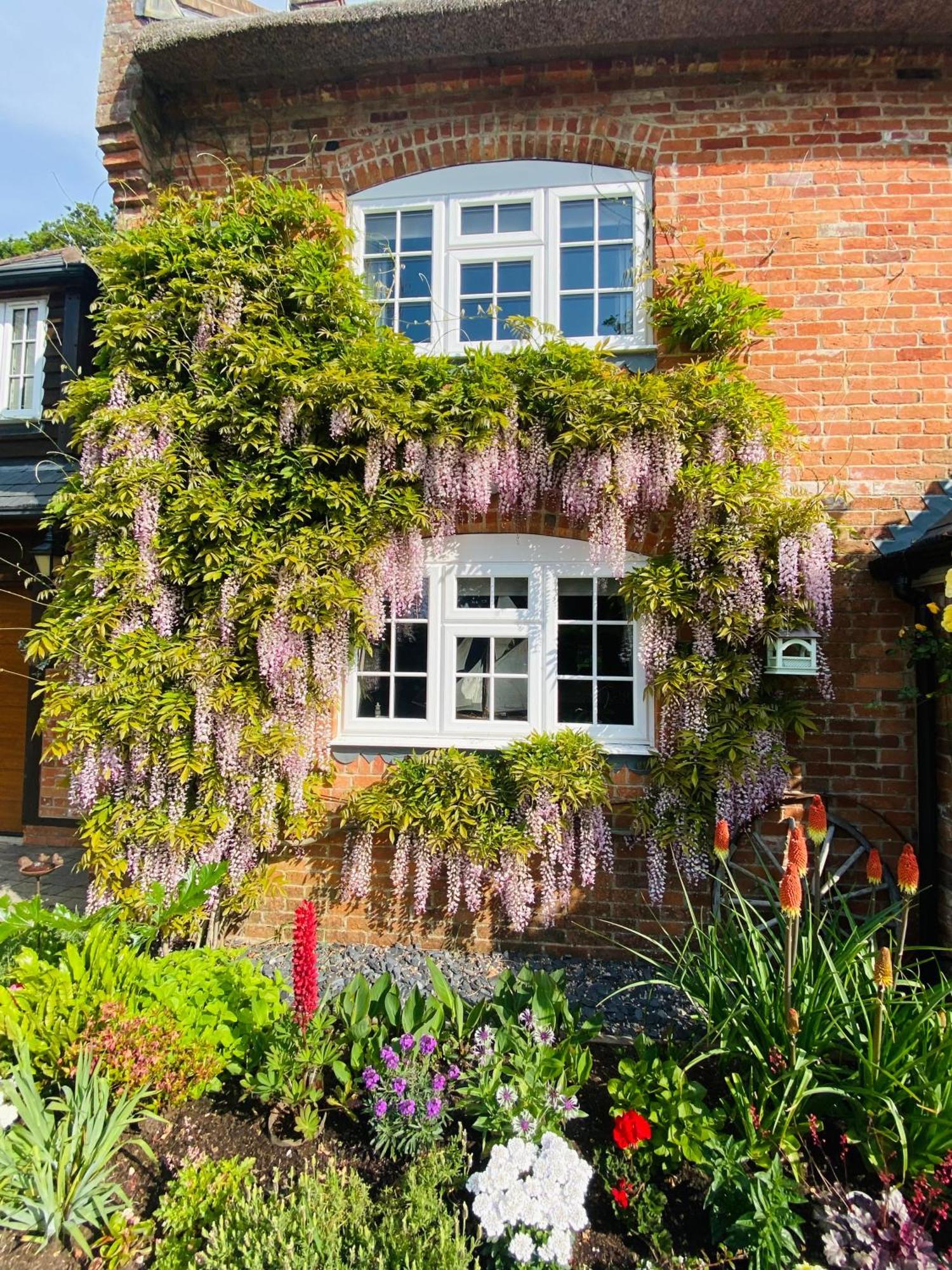 Little Woodside A Beautiful New Forest Self Contained Private Luxury Annexe نيو ميلتون المظهر الخارجي الصورة