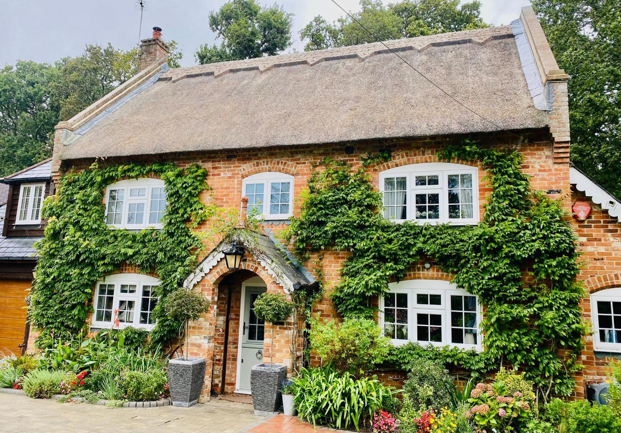 Little Woodside A Beautiful New Forest Self Contained Private Luxury Annexe نيو ميلتون المظهر الخارجي الصورة