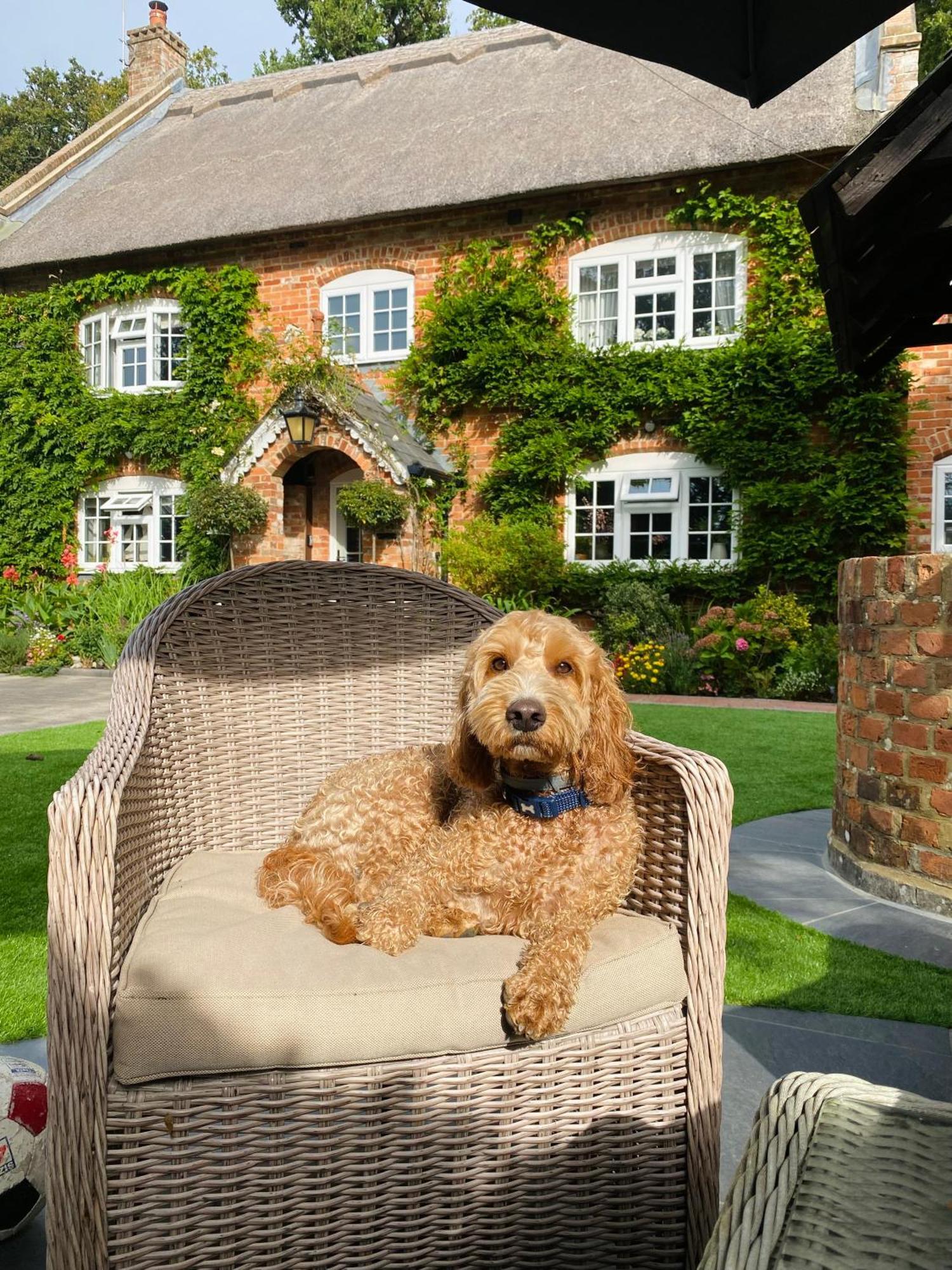 Little Woodside A Beautiful New Forest Self Contained Private Luxury Annexe نيو ميلتون المظهر الخارجي الصورة