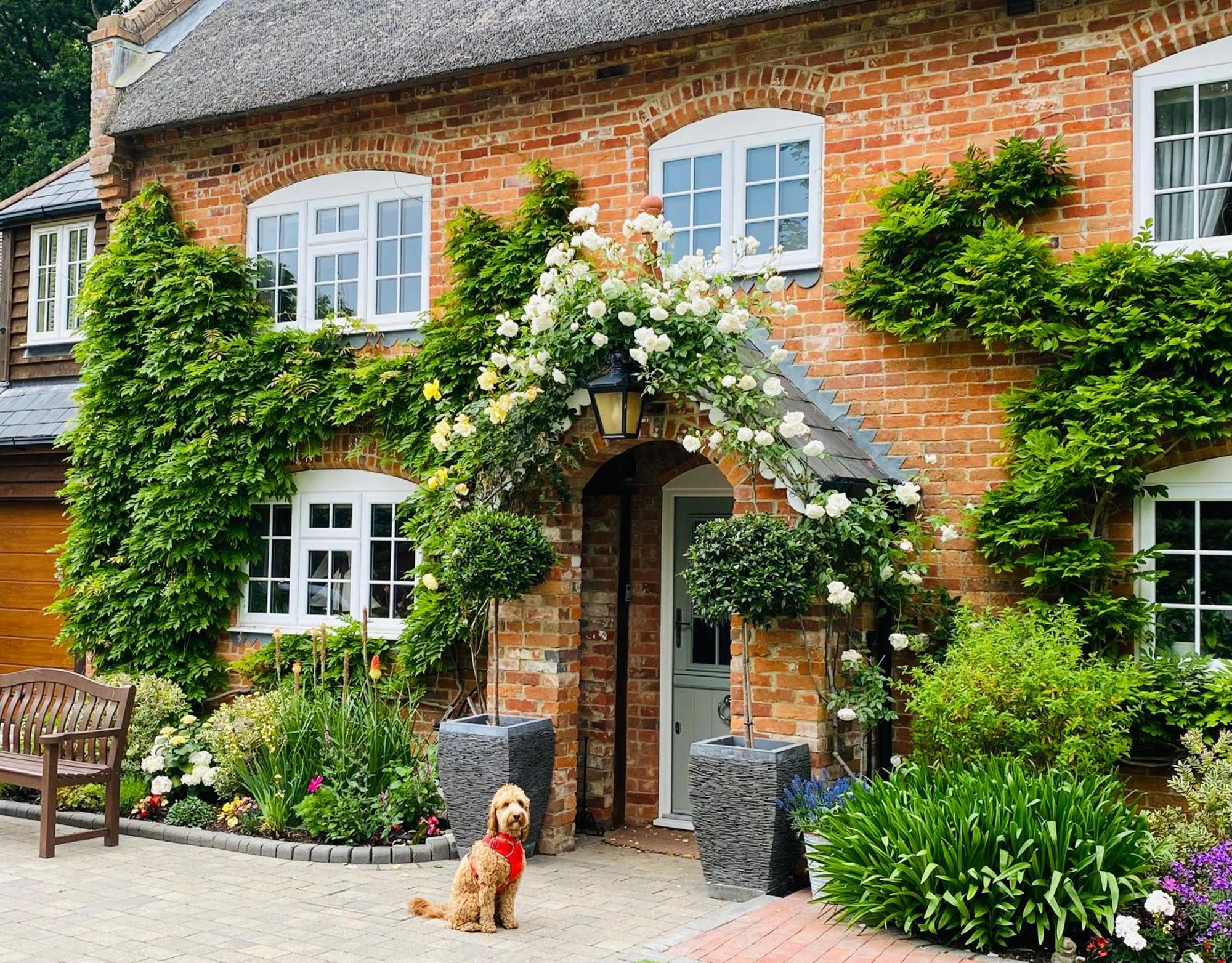 Little Woodside A Beautiful New Forest Self Contained Private Luxury Annexe نيو ميلتون المظهر الخارجي الصورة