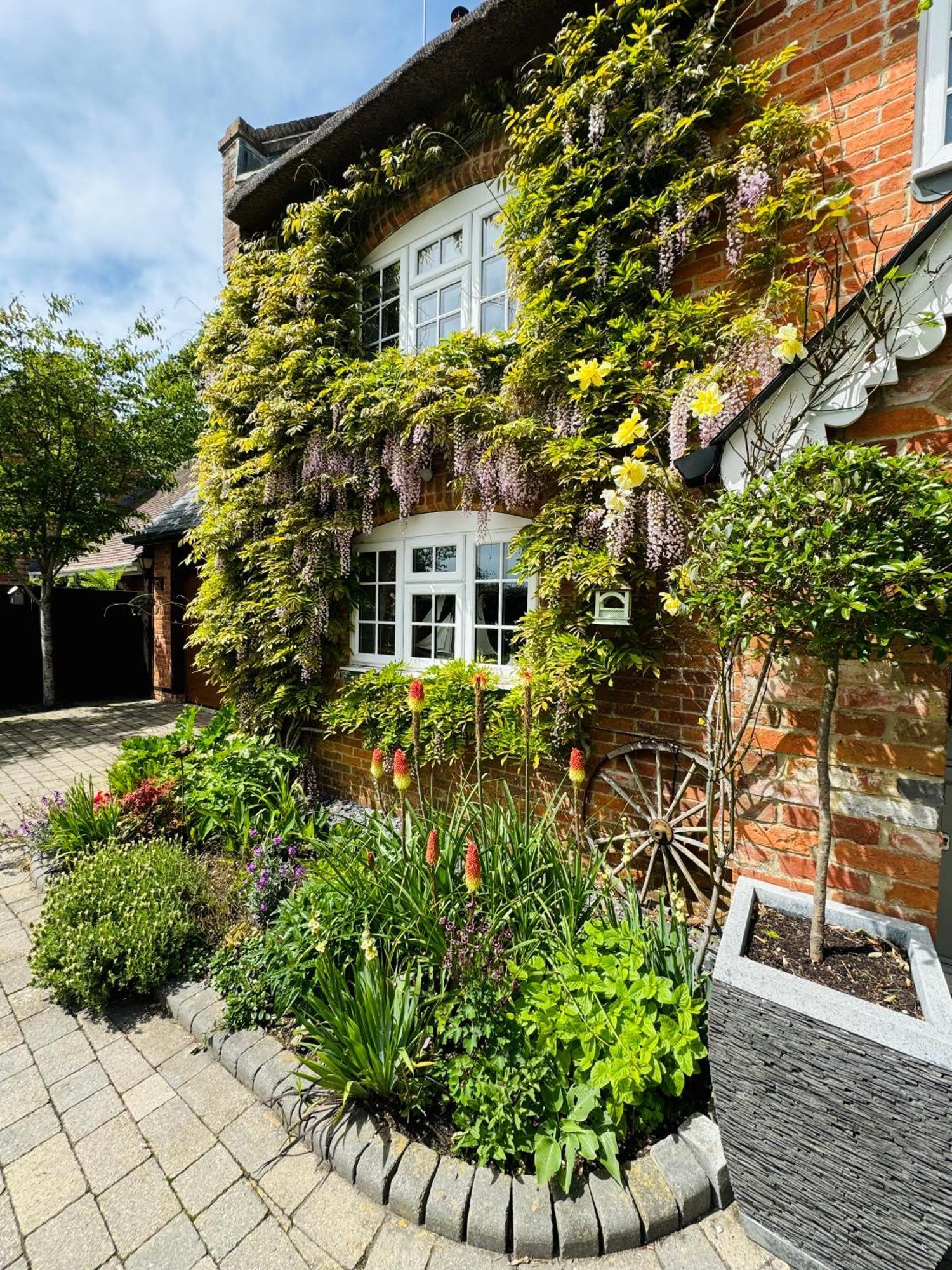 Little Woodside A Beautiful New Forest Self Contained Private Luxury Annexe نيو ميلتون المظهر الخارجي الصورة